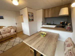 Image of Newly renovated apartment - Panoramic Mont Blanc view