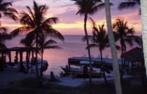 Image of Cozy Cottage in the Heart of Islamorada