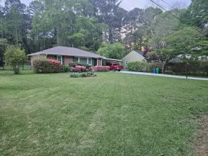 Image of City close, nature near! House with horse park view and convenient to everything