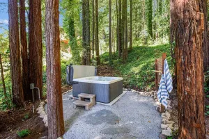 Image of Wanderwood