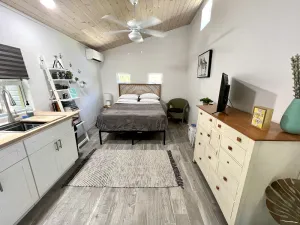 Image of Downtown Tropical Studio
