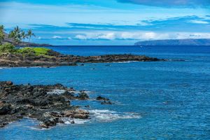 Image of Makena Surf F-201-Oceanfront Condo with Spectacular Ocean Views!