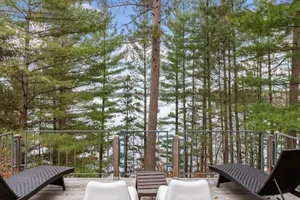 Image of Triangle in the Woods