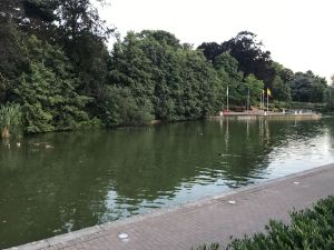 Image of ZAVENTEM BRUSSELS AIRPORT APARTMENT 1.- 10 Mins Walk to Airport.15 Mins Citybus