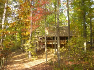 Image of Callaway is in  Bloom. Comfy cabin nestled in Nature at Spring Rates