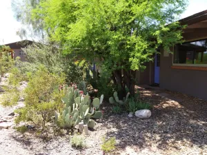 Image of Serene and Charming, Private, Immaculate, Central,  2\/1.5 Back yard and Pool