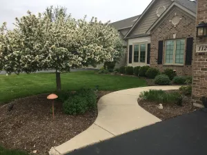 Image of Rare executive upscale ranch in lake neighborhood with fenced yard