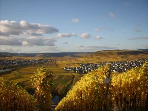Image of Holiday Apartment \"altars\" with Weinbergblick