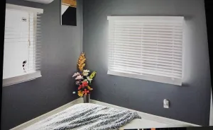 Image of Tiger's house 🐅