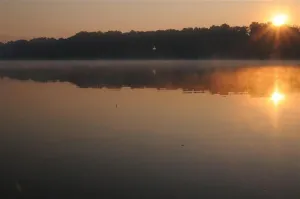 Image of Hemlock Lake House