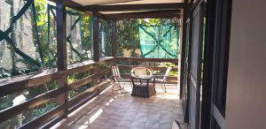Image of Established house, sea views & sunsets, pool, privacy, space 15 min walk to city