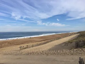 Image of OCEAN, FOREST, LAKE, GOLF, SURF, FISHING AND PEACE AND QUIET!