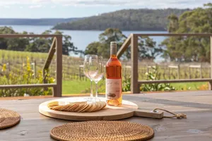Image of Norfolk Bay Retreat - views over the sea and vines