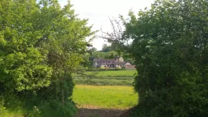 Image of In Somerset