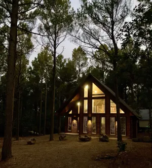 Image of Rowdy Coyote 🐺 Luxury Cabin-ZipLine-Arcade-Foosball-HotTub-FirePit-Gas Grill