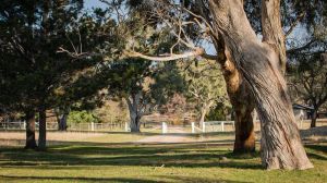 Image of Oakhurst Cottage FarmStay