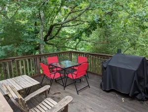 Image of GAME DAY WEEKEND CONDO! WALK TO CAMPUS! PET FRIENDLY! WHIRLPOOL TRAILS!