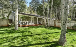 Image of Cozy cottage near bus stop, skiing & Aspen