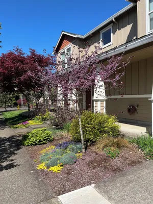 Image of The Albany Guest House