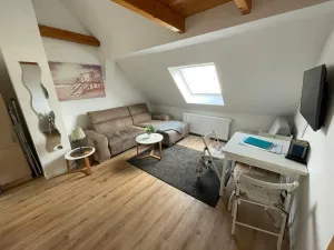 Image of Maisonette apartment Schleusentor close to the Rostock river bath