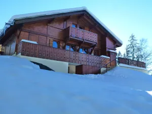 Image of Independent chalet on 2 levels with parking and WIFI classified 3 stars