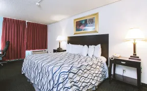 Image of Sky-Palace Inn & Suites Wichita East - 1 King Bed Suite Smoking Oversized
