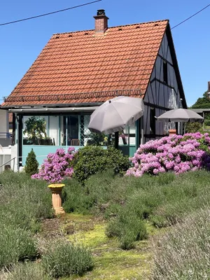 Image of Vacation home with sauna, conservatory and terrace in the beautiful Taunus, quiet location!