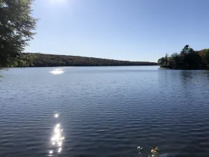 Image of Cottage on the lake--you can't get any closer!