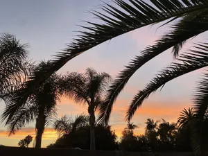 Image of Coastal Studio Retreat! WALK to BEACH!! GREAT LOCATION!!Tamarack Surf! 1mn DRV!!