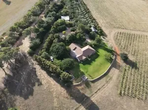 Image of Luxury Homestead with Vineyard and Mountain Views