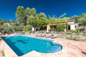 Image of Old Mas In Olive Grove With Large Swimming Pool And Panoramic Views