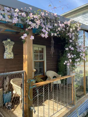 Image of Intimate, earthy cottage in Tranquil Setting