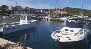 Image of South Corsica: splendid T2 apartment with sea view and heated swimming pool