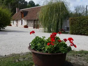 Image of Gîte chaleureux près des Châteaux de la Loire, avec terrasse, équipements de loisirs et pêche - FR-1-491-357