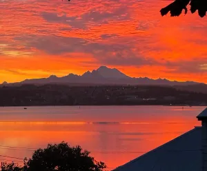 Image of 4 bdrm home, Pets OK,  Fantastic Ocean Views. All 5 star reviews. Bird Paradise!