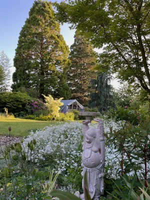 Image of ShiShi's Cottage--Walk to OSU
