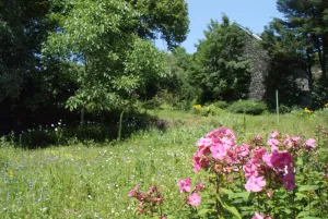 Image of 15 minutes from Vulcania, large family house with garden, Gîte Côté Jardin