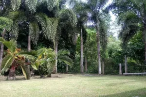 Image of Guesthouse Surrounded By Trees