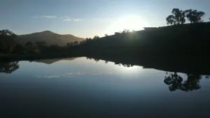 Image of Beautifully appointed Tiny House.