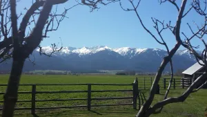 Image of Charming Vintage Farmhouse With Spectacular Views - sleeps up to 8
