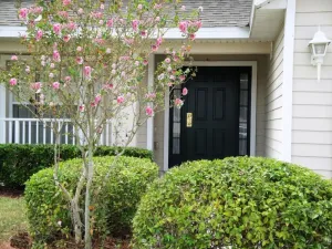 Image of 4 bedroom pool home with conservation view on gated golf community of Remington