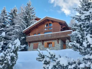 Image of Individual chalet *** La Plagne Montalbert (Paradiski)