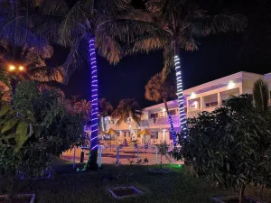Image of Downtown Hollywood Gardens Inn & Suites