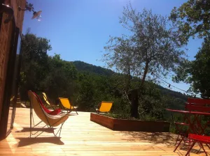 Image of Small farmhouse in olive grove with swimming pool