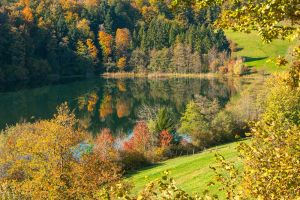Image of Chalet - DOUCIER LAC DE CHALAIN