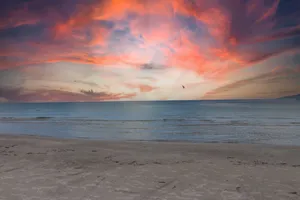 Image of 2 Bed, 2 Bath, 1 minute walk to the sand!