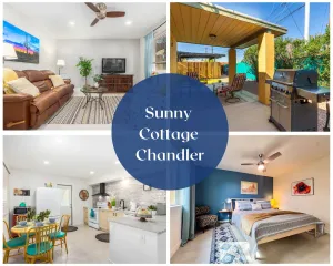 Image of Dog Friendly, Downtown Chandler, Has It All!