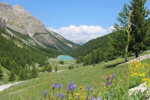 Image of 50m from ski slopes, 7th floor, tv, 45m², Orcières Merlette 1850