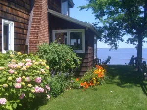 Image of Charming cottage by the sea