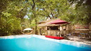 Image of House in the woods